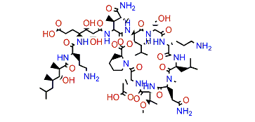 Homophymine B